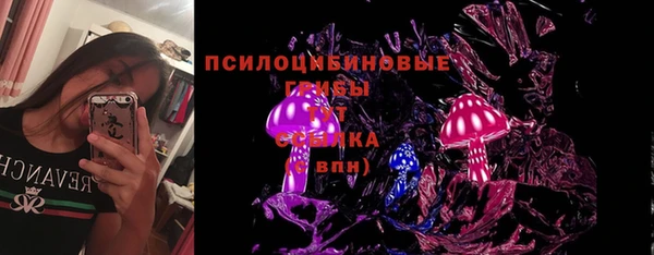 гидропоника Гусь-Хрустальный