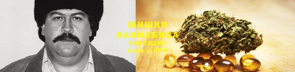 не бодяженный Гусев