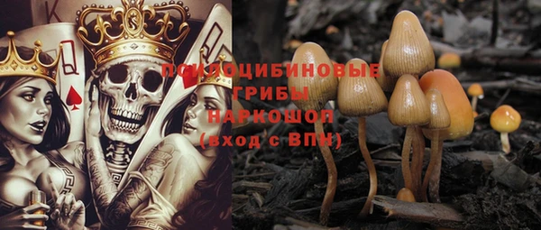 не бодяженный Гусев