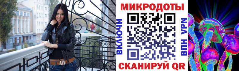 Галлюциногенные грибы Psilocybe  где найти   Оренбург 